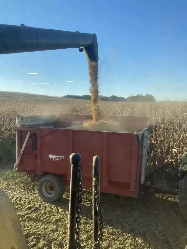 Récolte du Soja 100% Béarnais à la Ferme Sahouret !