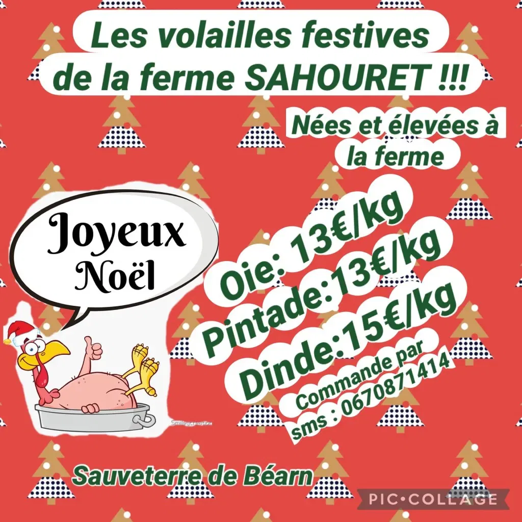 Volailles festives de la Ferme Sahouret