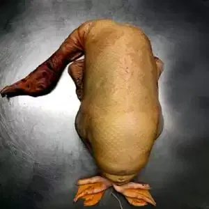 Canard gras entier - Ferme Sahouret