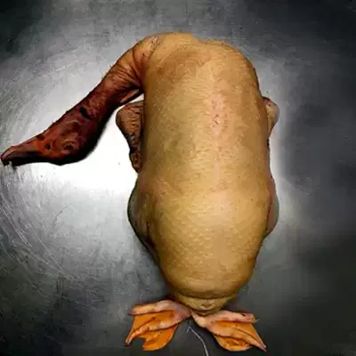 Canard gras entier - Ferme Sahouret