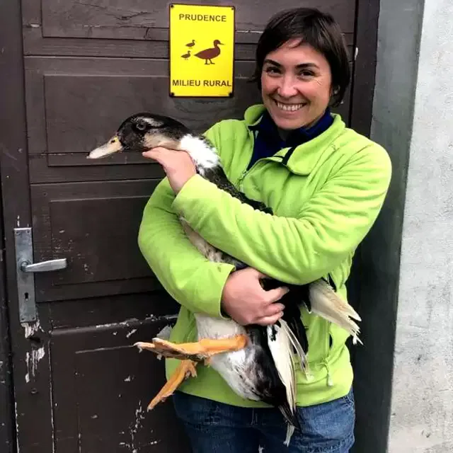 Les canards gras de la Ferme Sahouret à Sauveterre-de-Béarn (64)